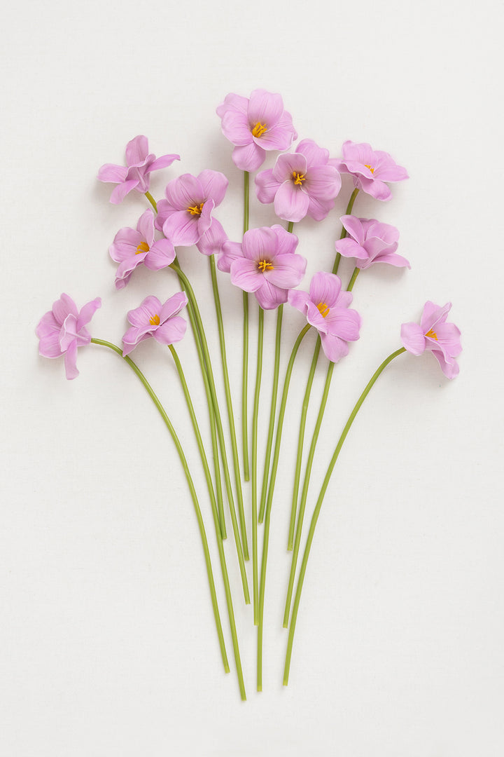 Tulips with Stem