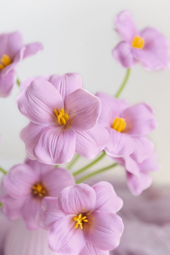 Tulips with Stem