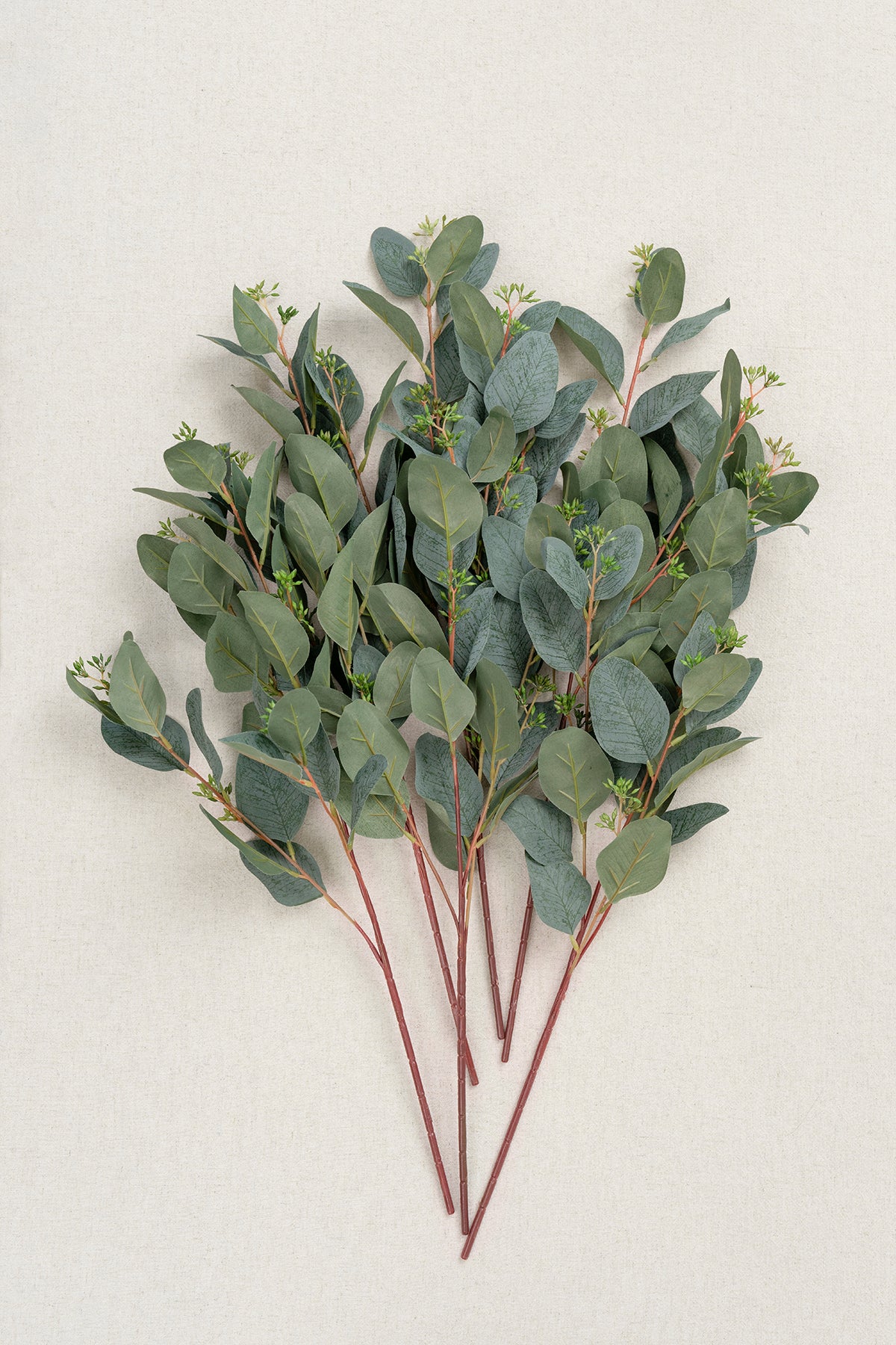 23" Dark Green Seeded Oval Eucalyptus - 6PCS