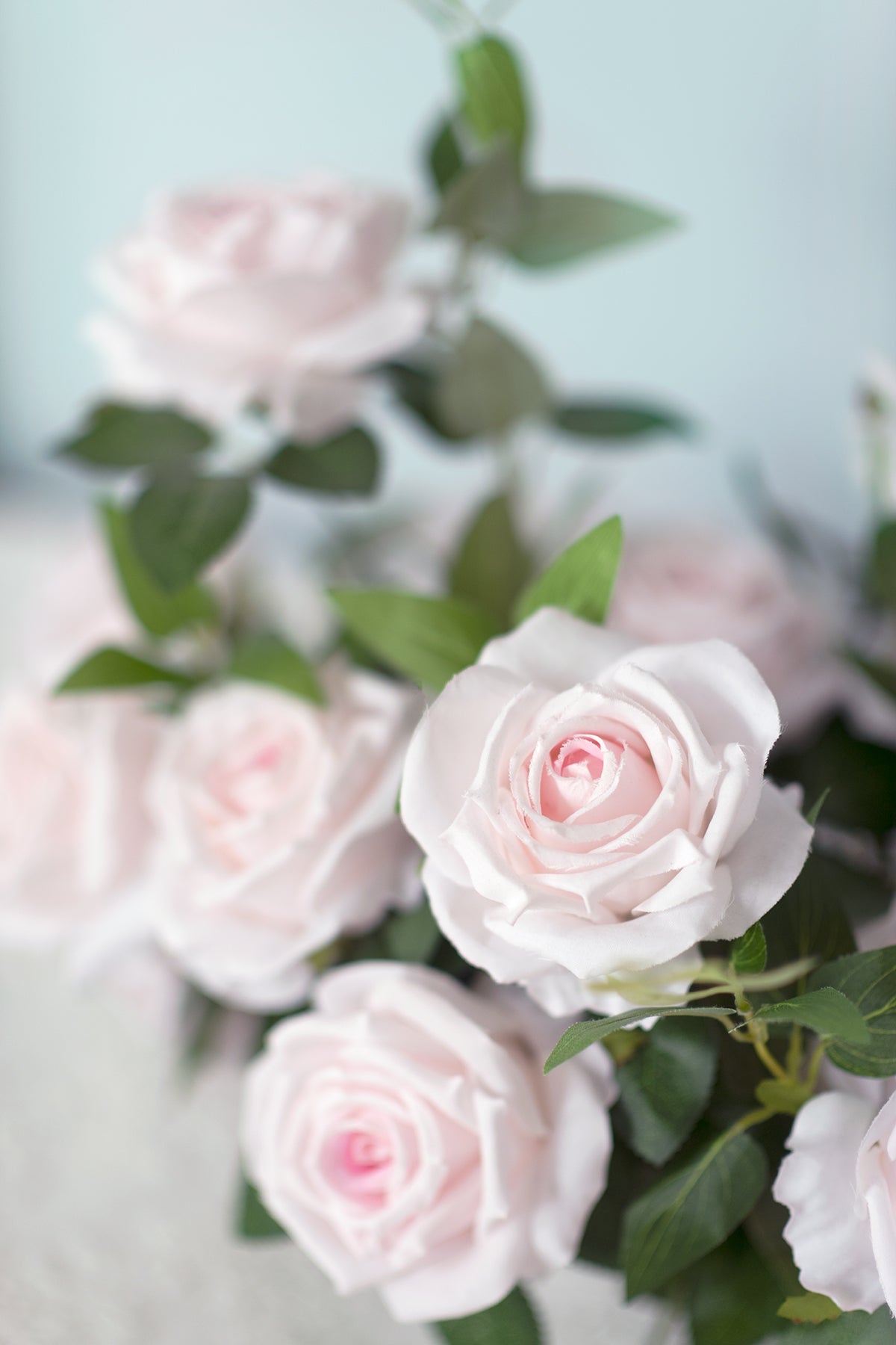 Designer Flower Boxes | Clearance