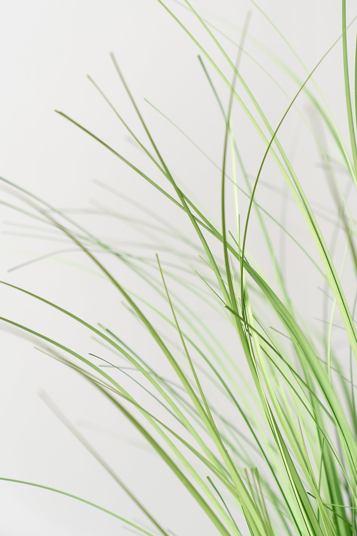 2.3ft Wheat Grass Branches - 3 Colors