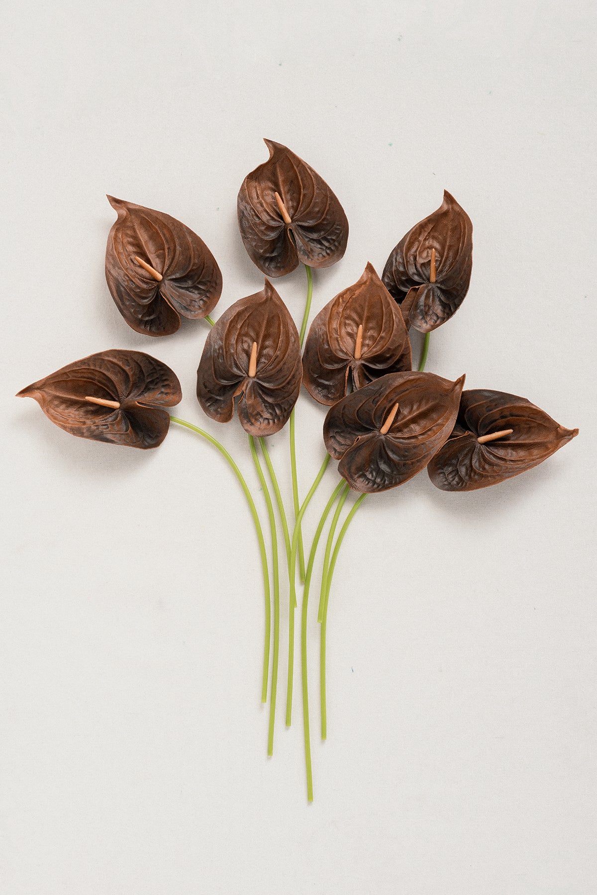 15" Anthurium Flowers with Stem