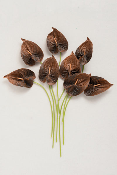 15" Anthurium Flowers with Stem