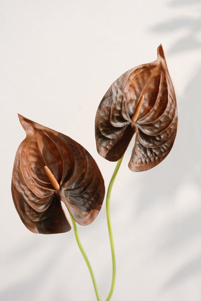 15" Anthurium Flowers with Stem