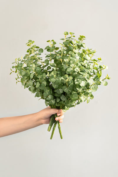 Gunni Eucalyptus