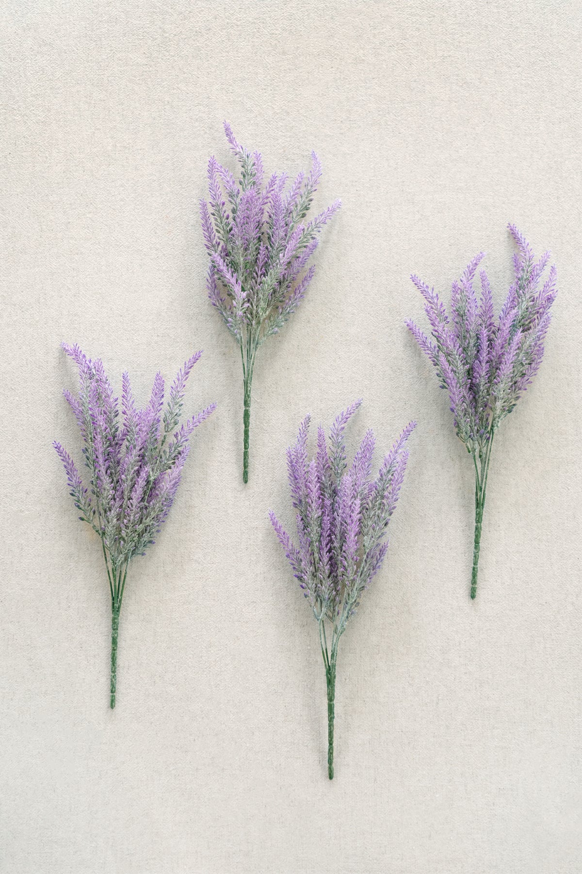 Purple Lavender Bush