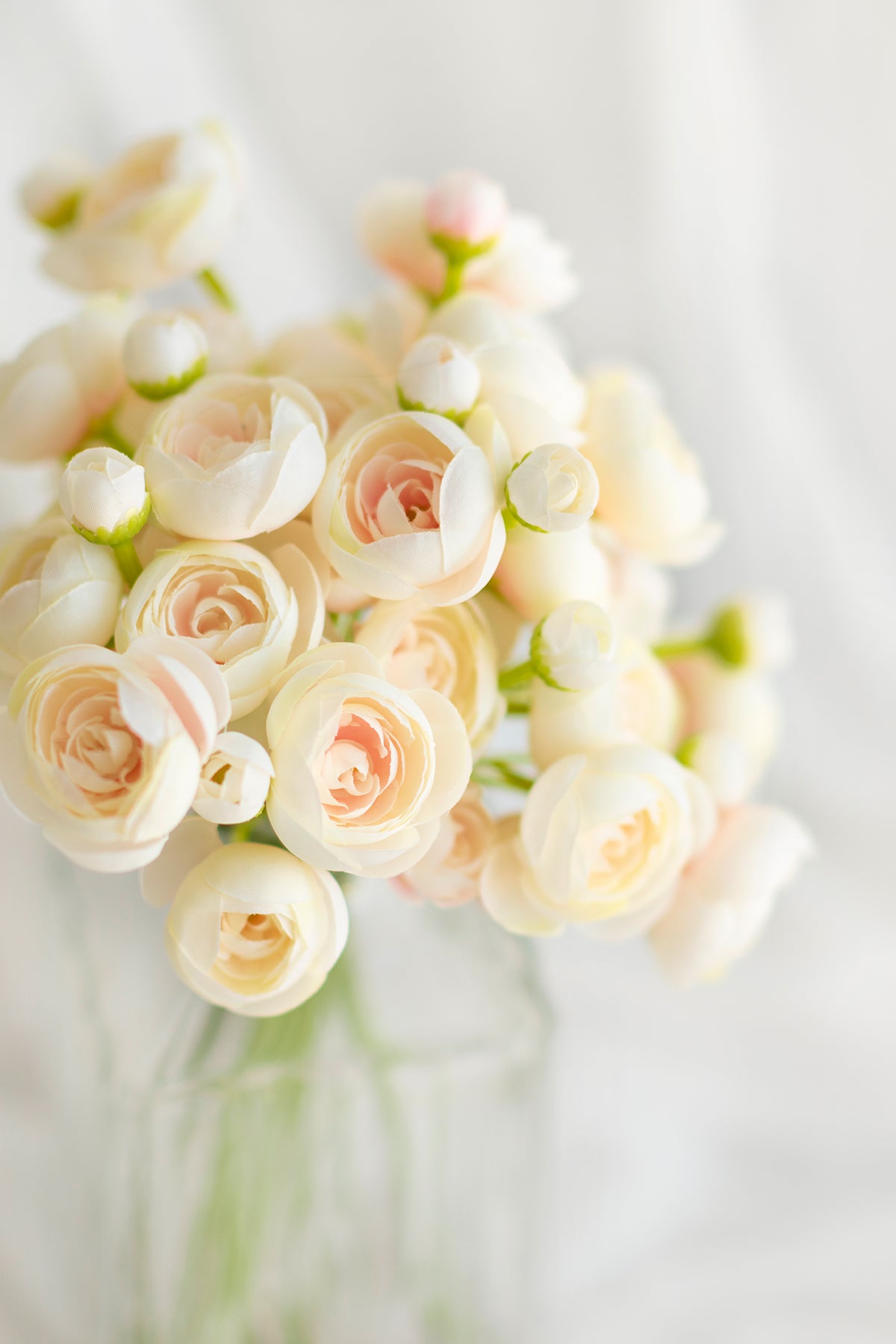 Ranunculus Flowers with Stem - Image 11