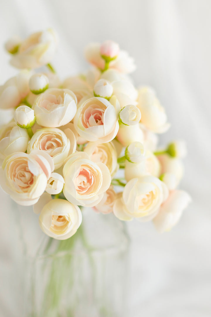 Ranunculus Flowers with Stem - Image 11