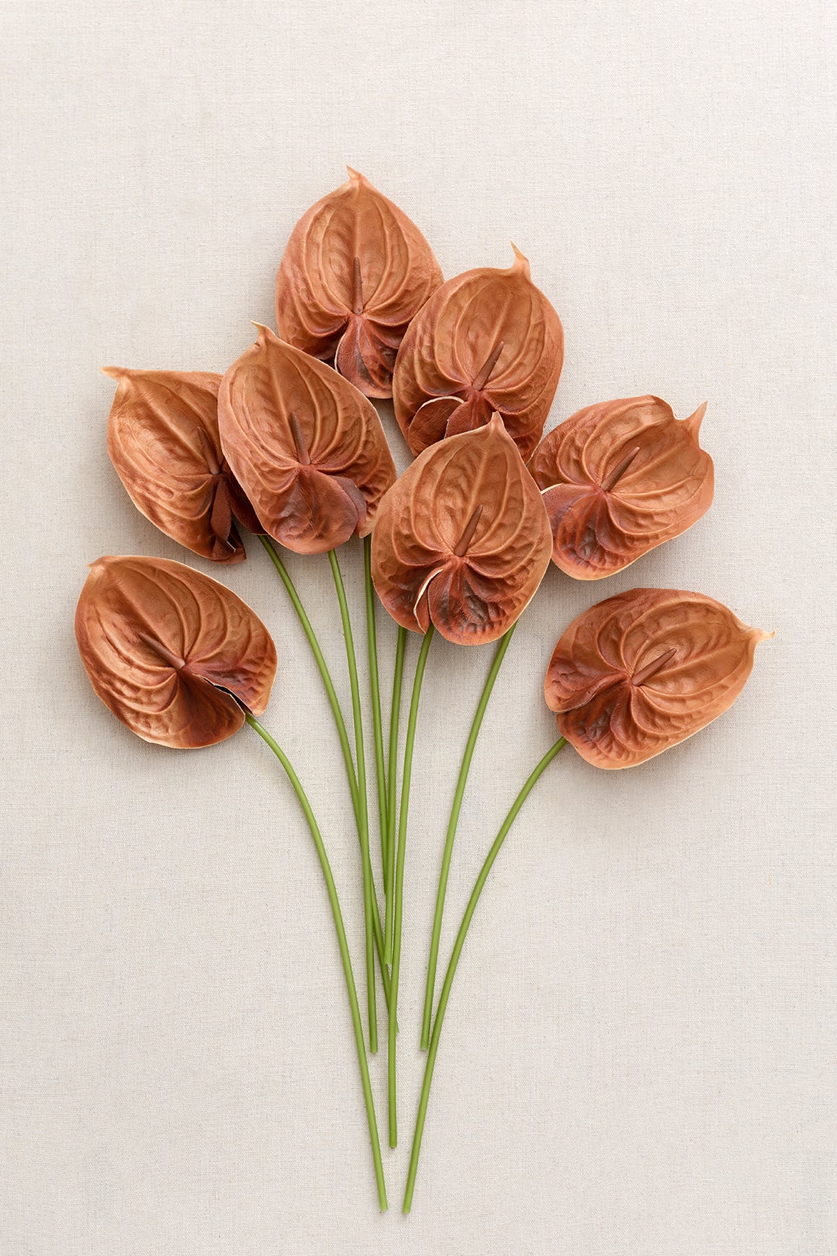 15" Anthurium Flowers with Stem