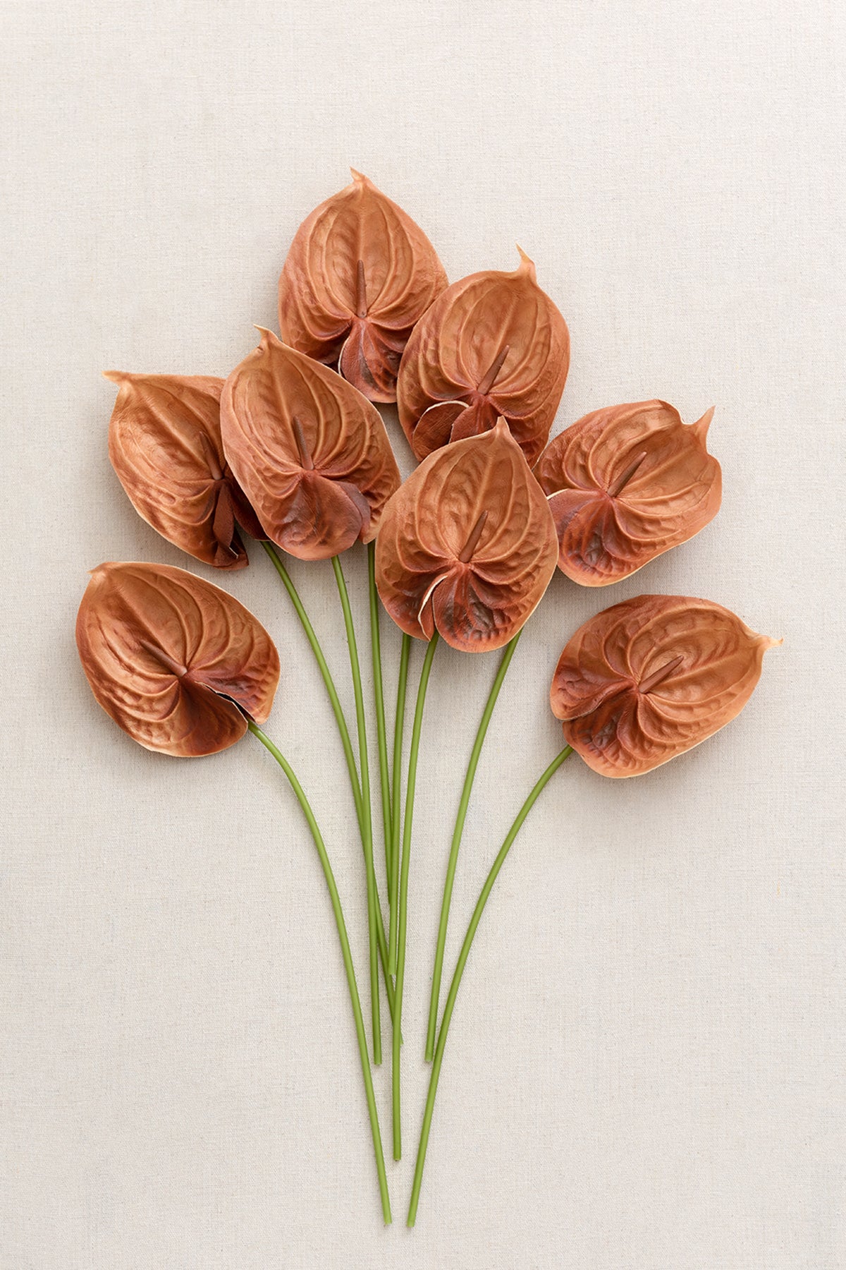 15" Anthurium Flowers with Stem - 4 Colors