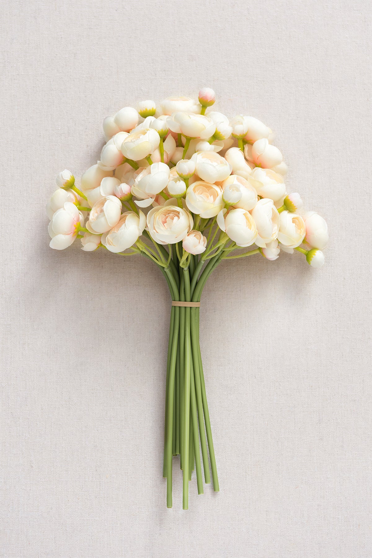 Ranunculus Flowers with Stem - Image 12