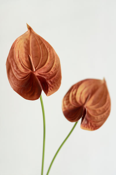 15" Anthurium Flowers with Stem - 4 Colors