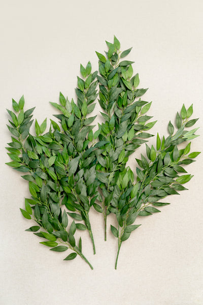 Italian Ruscus Spray