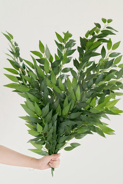 Italian Ruscus Spray