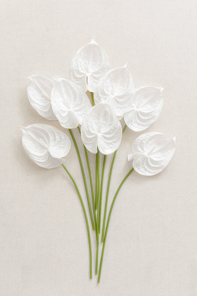 15" Anthurium Flowers with Stem - 4 Colors