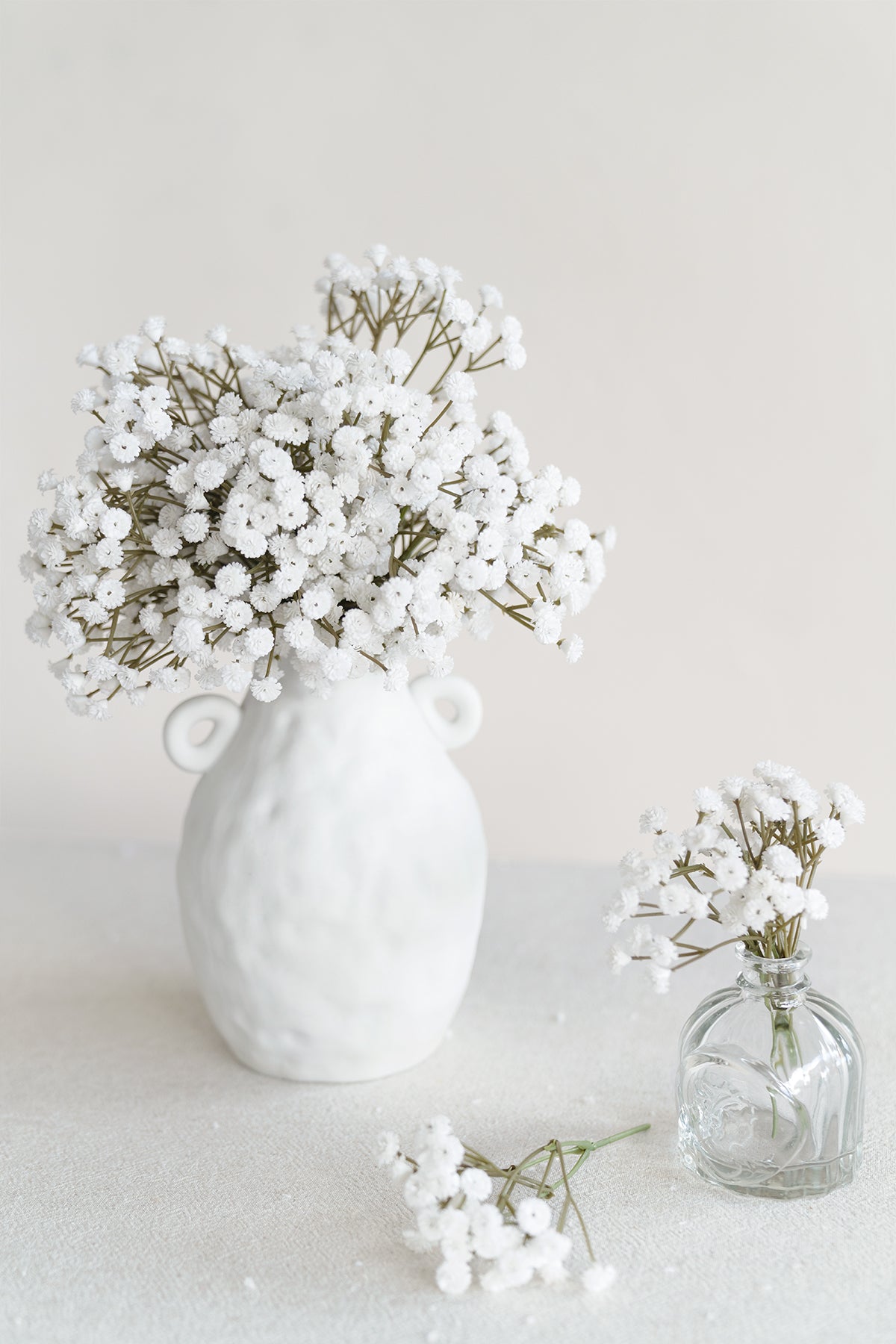 Baby's Breath