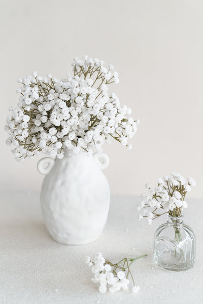 Baby's Breath