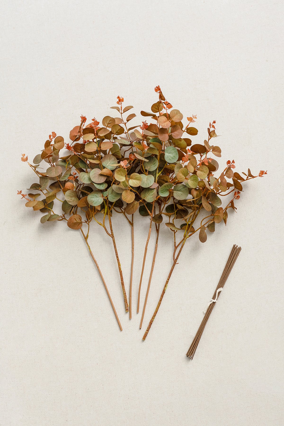 Terracotta Seeded Eucalyptus
