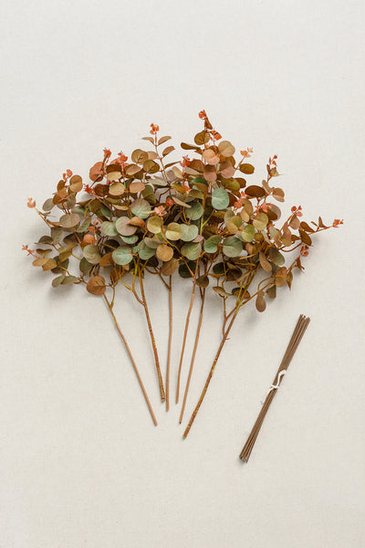 Terracotta Seeded Eucalyptus