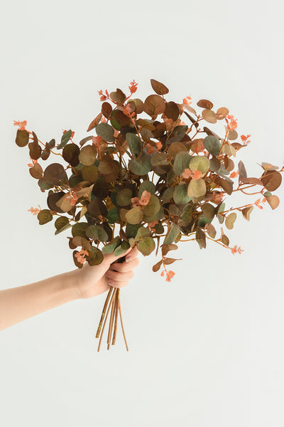Terracotta Seeded Eucalyptus